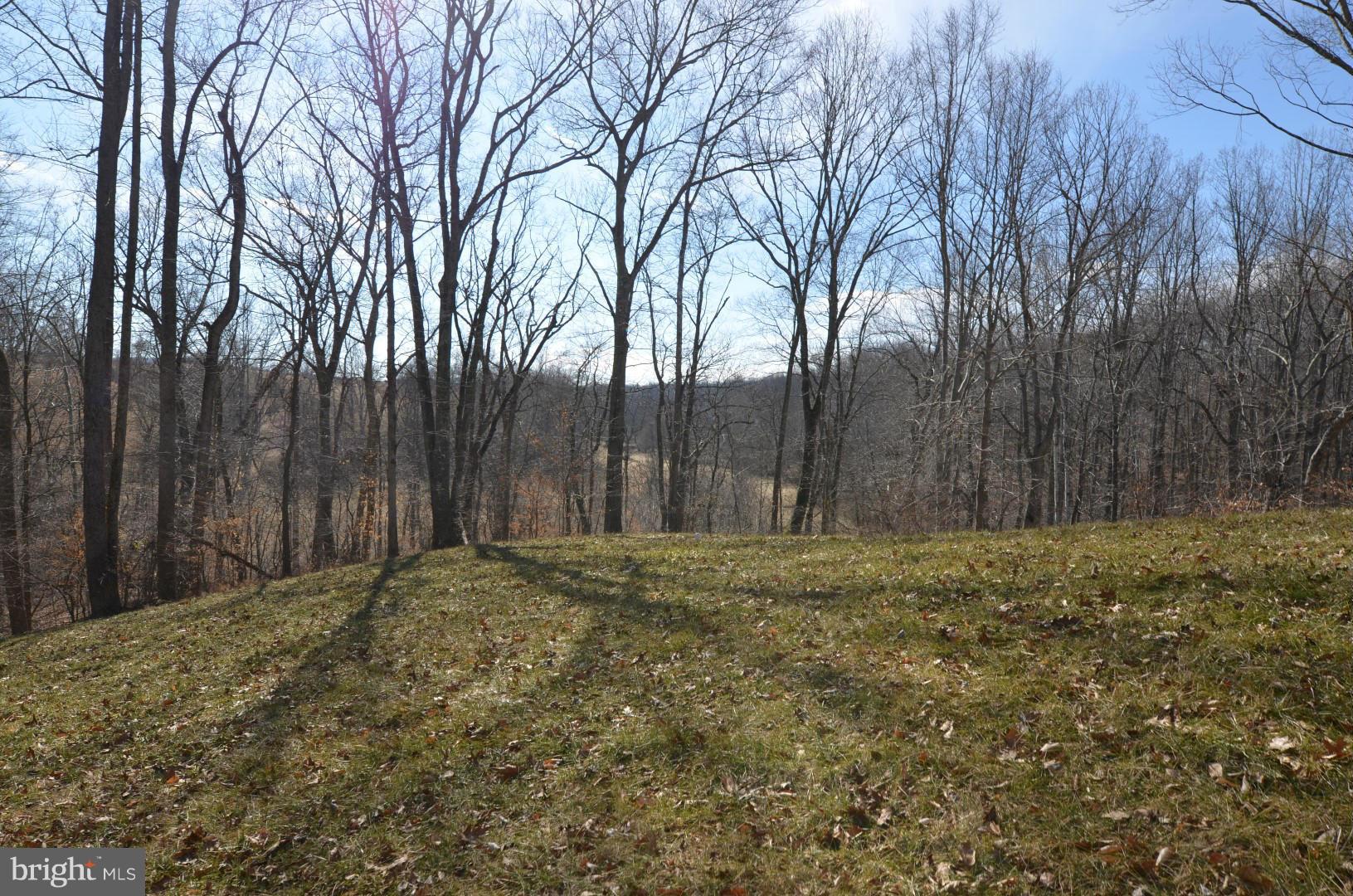 6434 Carters Run Road Marshall, VA 20115 - Photo 8 of 29 a view of a yard with trees