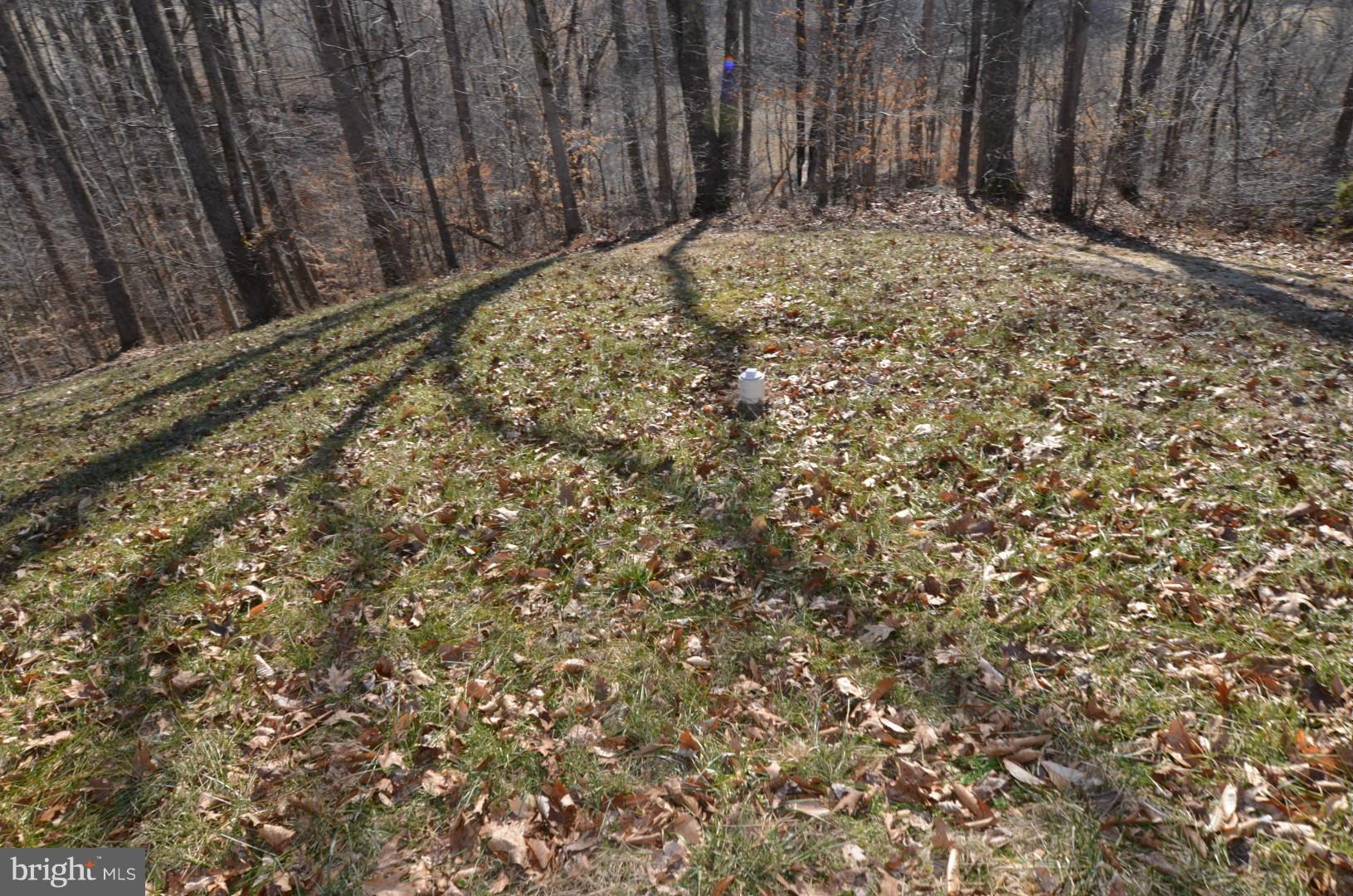 6434 Carters Run Road Marshall, VA 20115 - Photo 9 of 29 a view of a backyard of the house