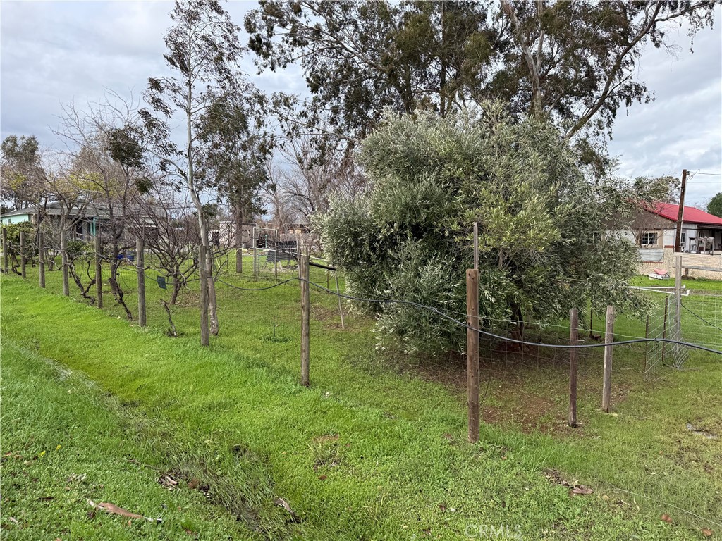 23848 Hoag Road Corning, CA 96021 - Photo 6 of 8 a backyard of a house with lots of green space