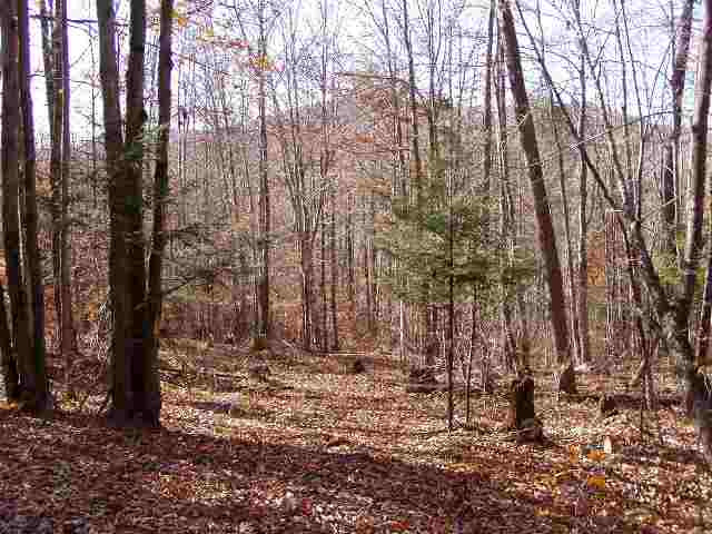 208 Maple Grove Road Northville, NY 12134 - Photo 12 of 12 Photo 12