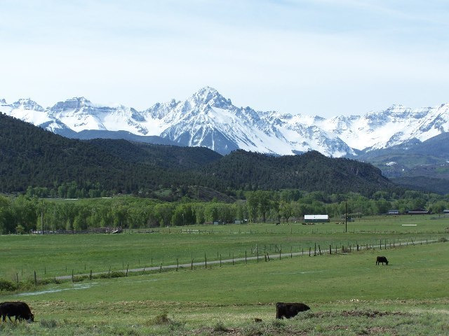 Primary Photo