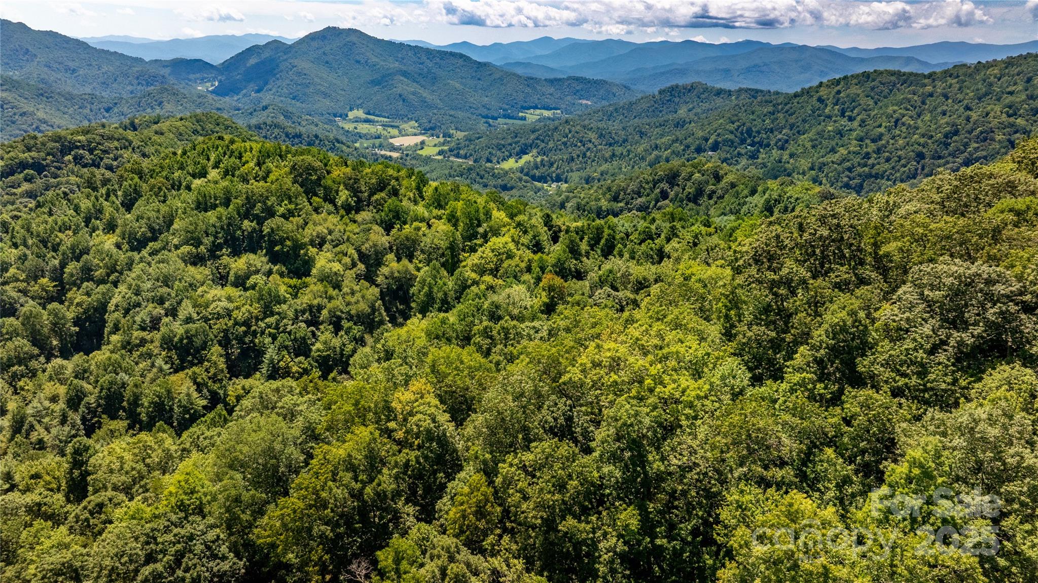 0 Short Ridge Lane Clyde, NC 28721 - Photo 11 of 14 a view of a lush green forest with a house in the background