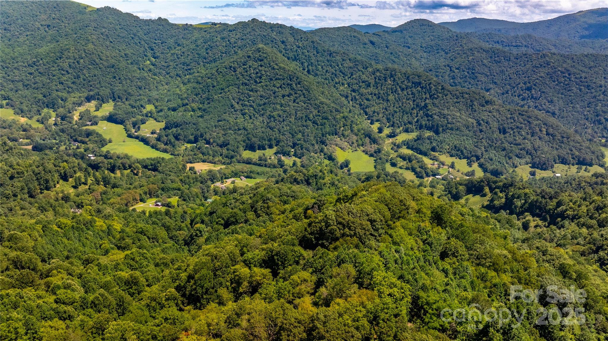 0 Short Ridge Lane Clyde, NC 28721 - Photo 12 of 14 a view of a lush green forest with trees in the background