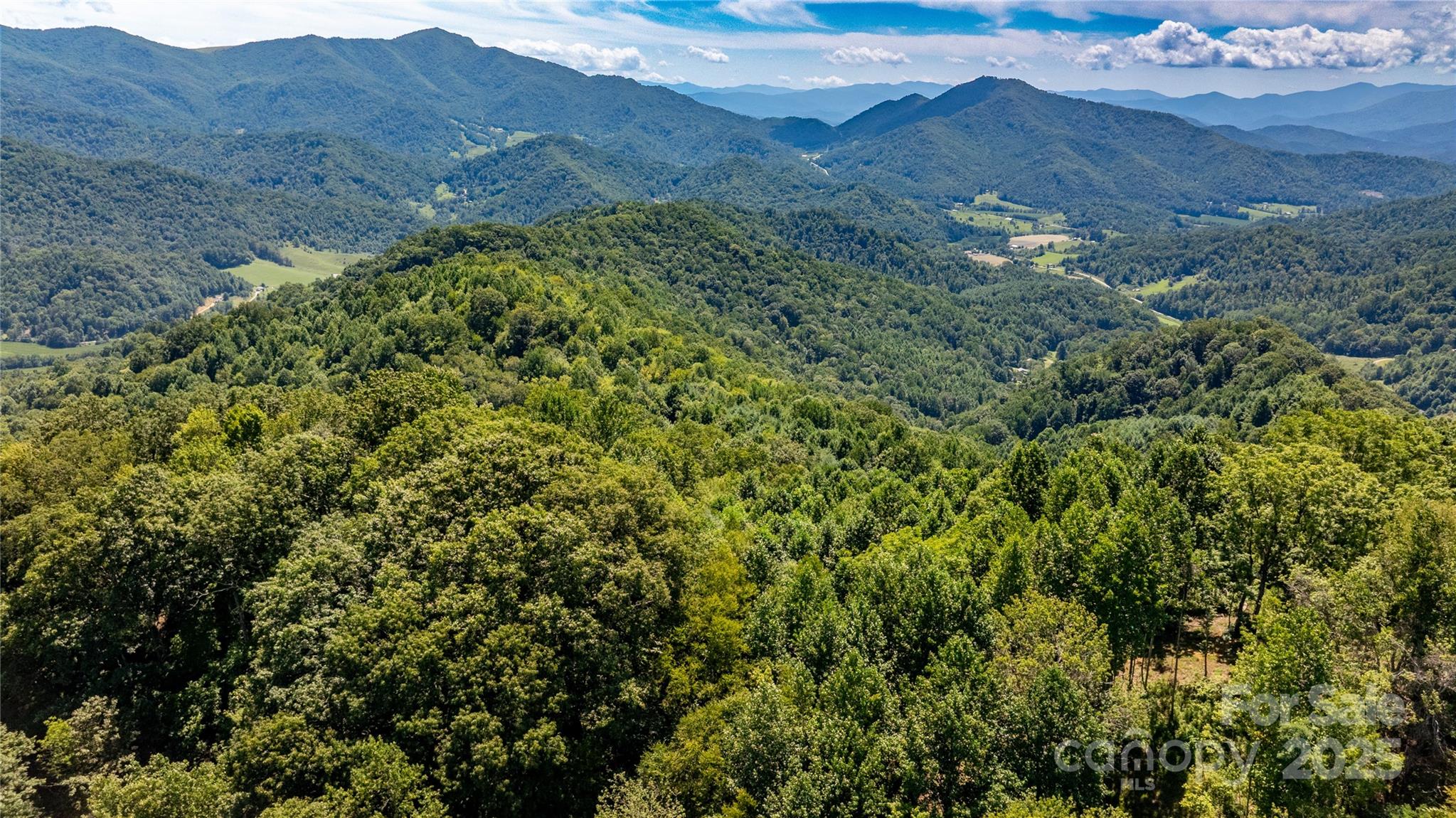 0 Short Ridge Lane Clyde, NC 28721 - Photo 13 of 14 a view of a lush green hillside and a mountain