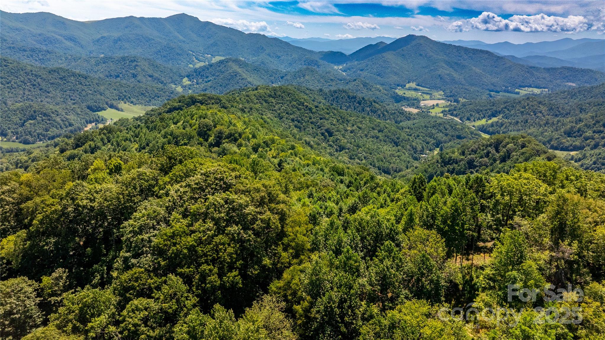 0 Short Ridge Lane Clyde, NC 28721 - Photo 14 of 14 a view of a lush green hillside and a mountain