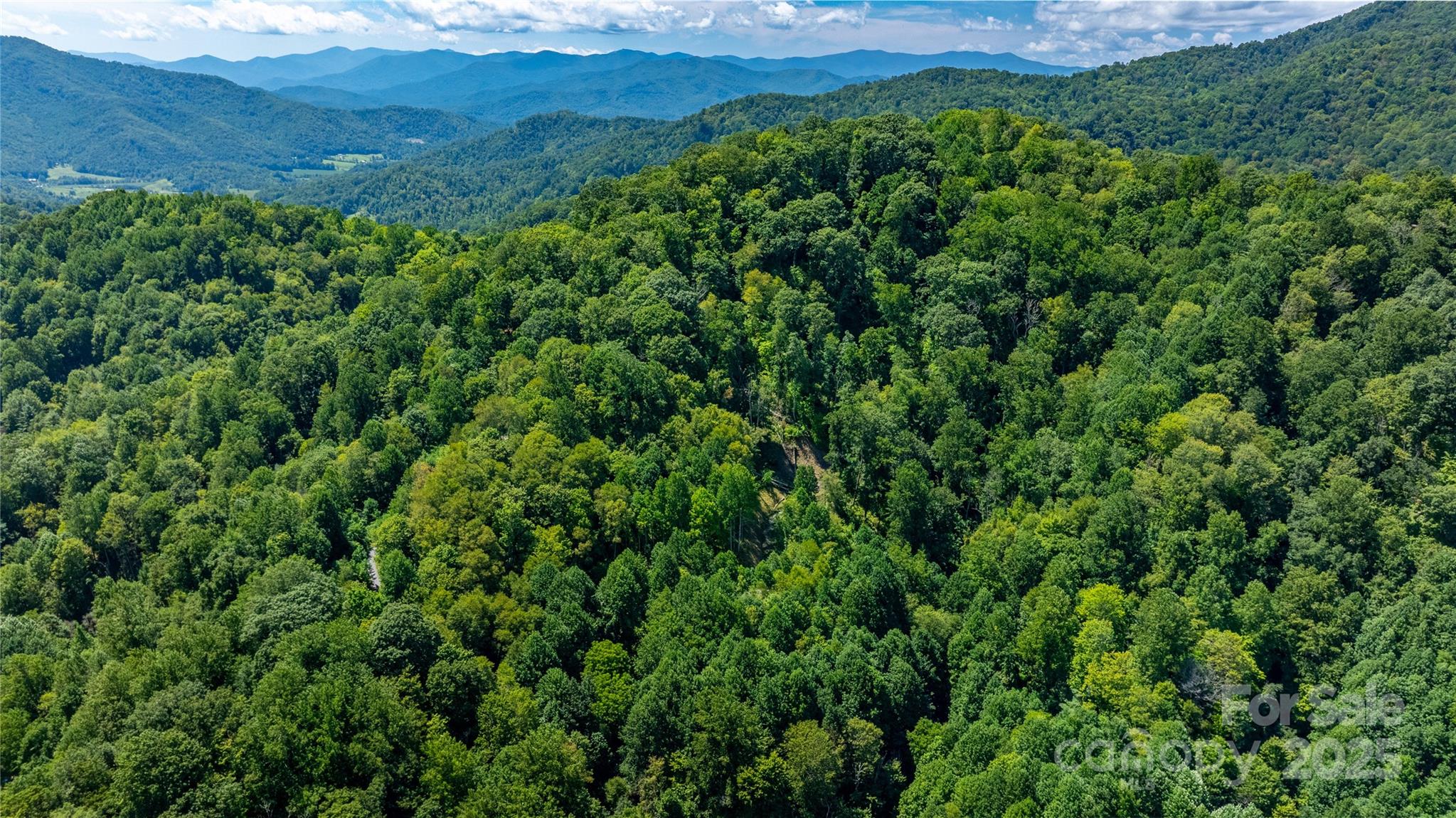0 Short Ridge Lane Clyde, NC 28721 - Photo 4 of 14 a view of a lush green forest with a mountain