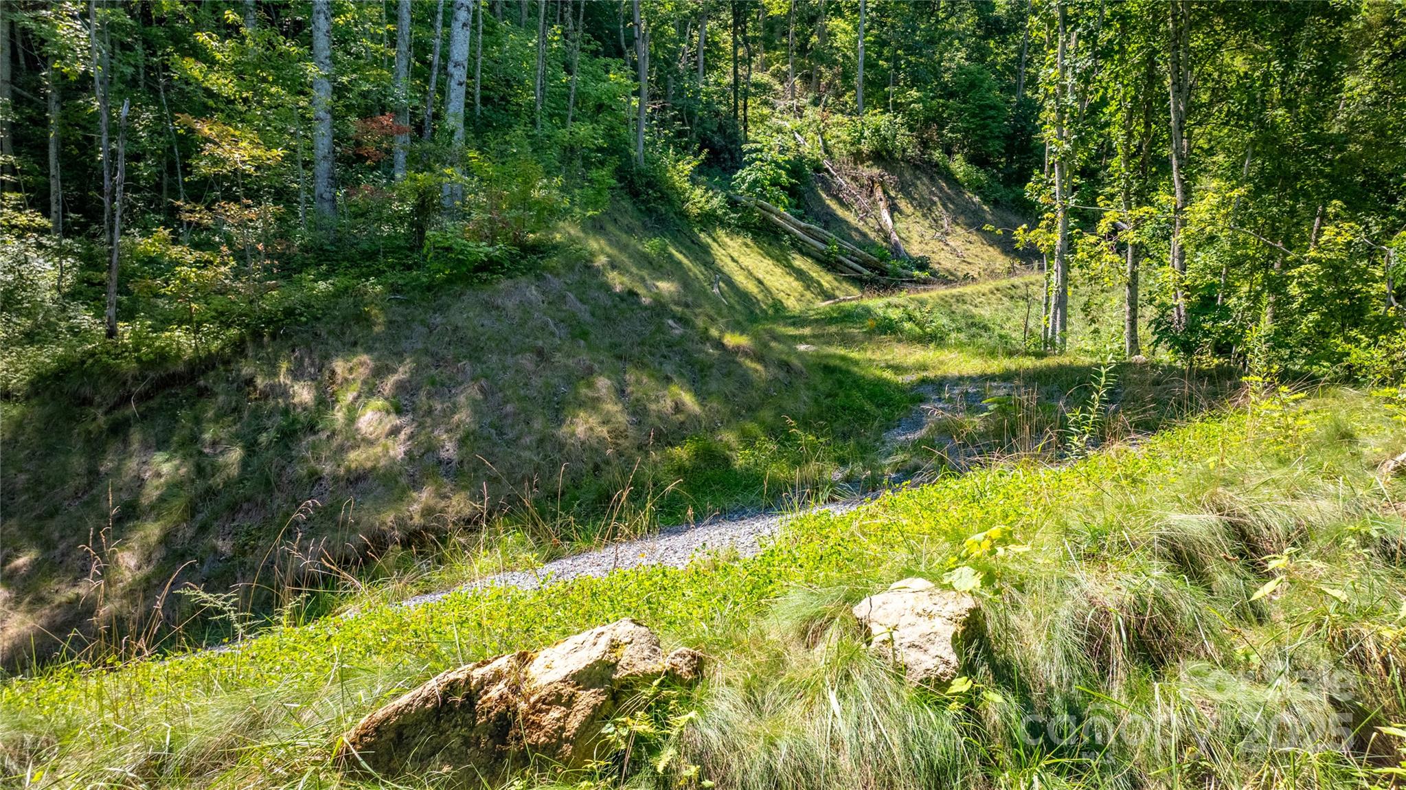 0 Short Ridge Lane Clyde, NC 28721 - Photo 6 of 14 a view of a garden