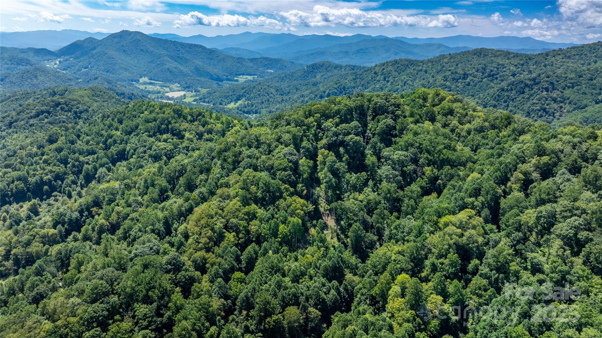 0 Short Ridge Lane Clyde, NC 28721 - Photo 7 of 14 a view of a lush green forest with lush green forest