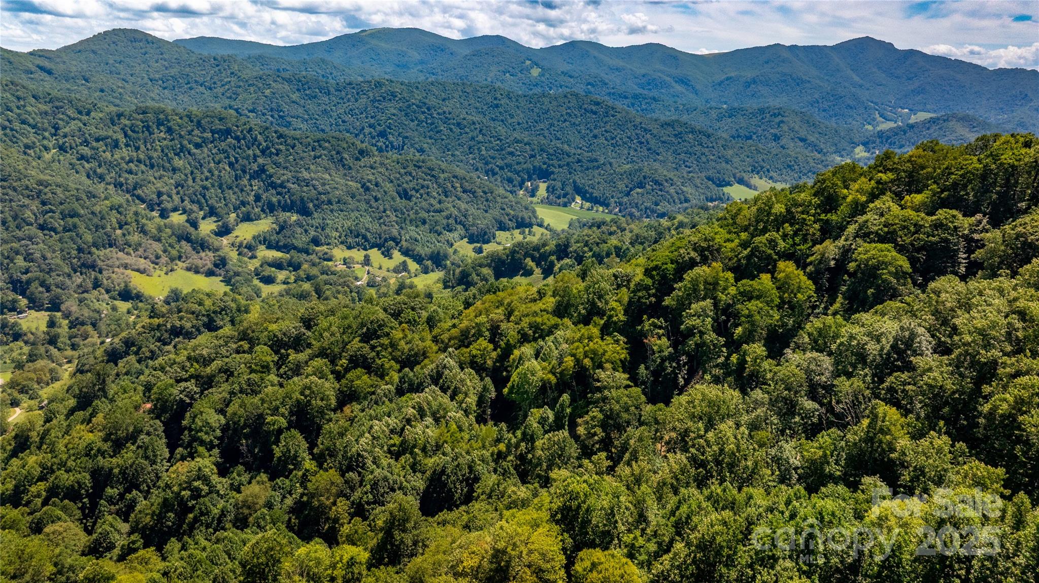 0 Short Ridge Lane Clyde, NC 28721 - Photo 8 of 14 a view of a lush green forest with lush green forest