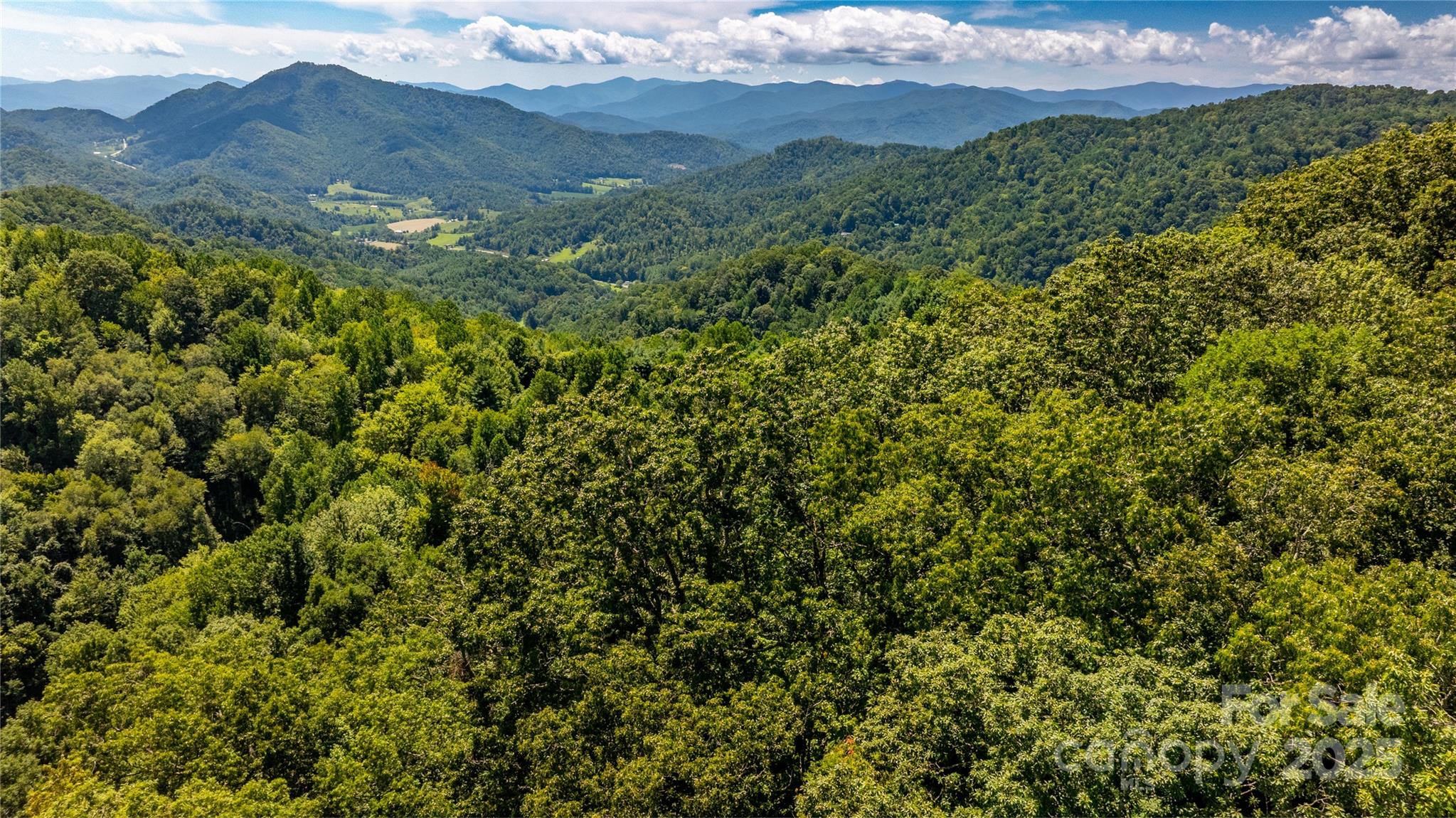 0 Short Ridge Lane Clyde, NC 28721 - Photo 10 of 14 a view of a lush green forest with mountains in the background