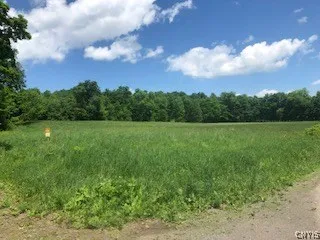 $199,000 | 10277 Chesebro Road, Brookfield, NY 13485