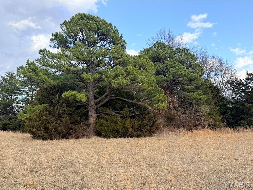 2-b 935 Audrain Road Mexico, MO 65265 - Photo 4 of 4