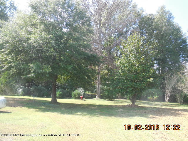 5199 Sycamore Road Coldwater, MS 38618 - Photo 34 of 50 DSCN2866