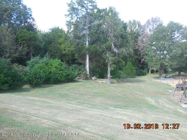 5199 Sycamore Road Coldwater, MS 38618 - Photo 46 of 50 DSCN2886