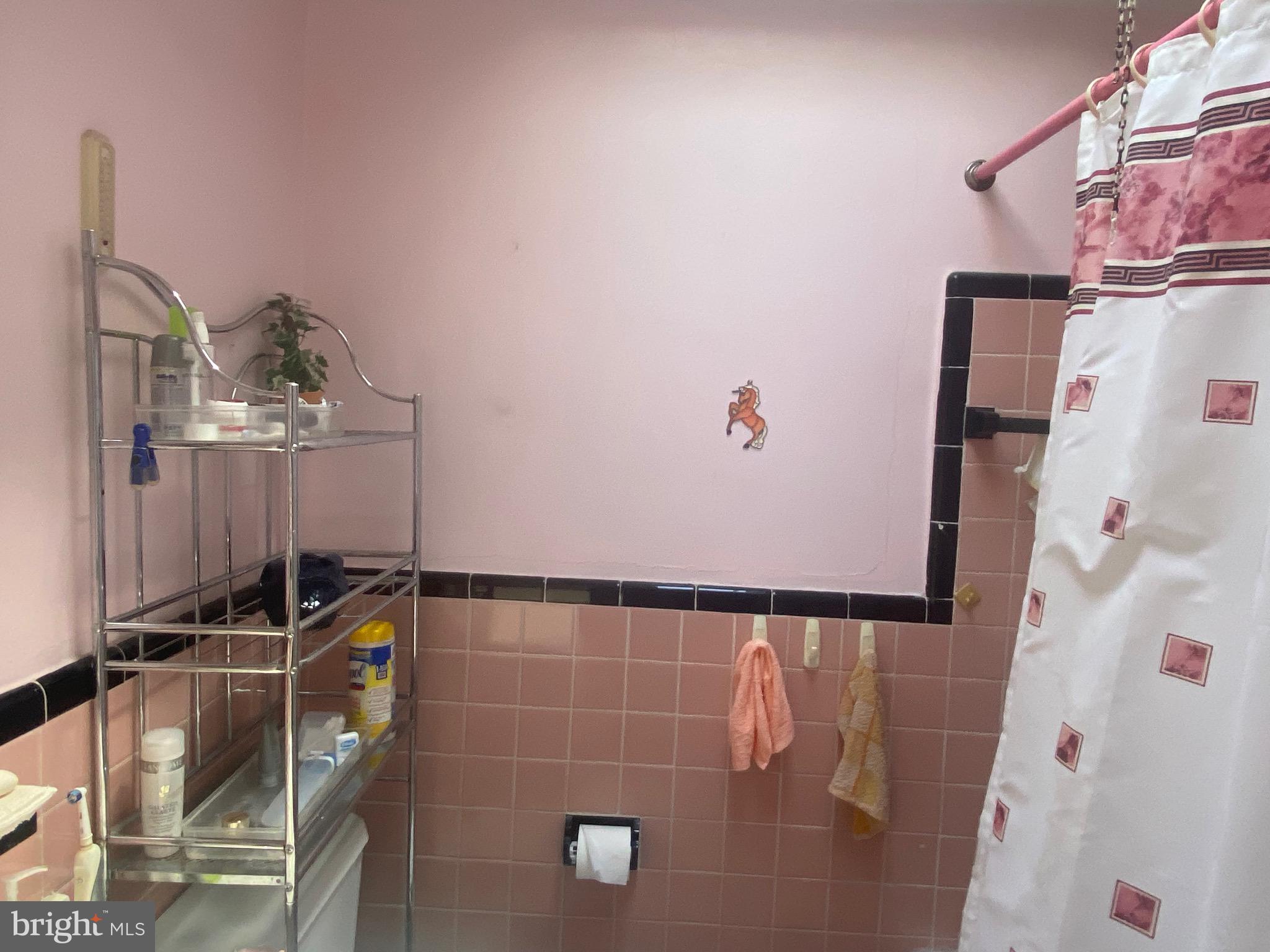 255 Cambridge Road Clifton Heights, PA 19018 - Photo 12 of 18 Bathroom