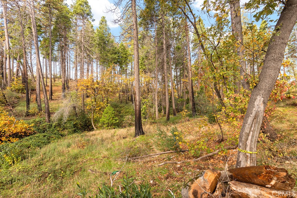 6281 Harold Lane Paradise, CA 95969 - Photo 11 of 19