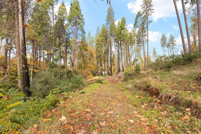 a view of outdoor space with trees