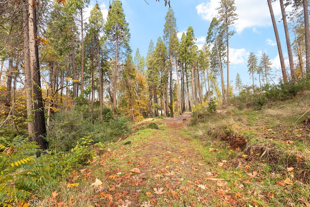 6281 Harold Lane Paradise, CA 95969 - Photo 12 of 19