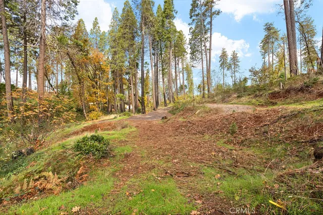 a view of outdoor space with trees