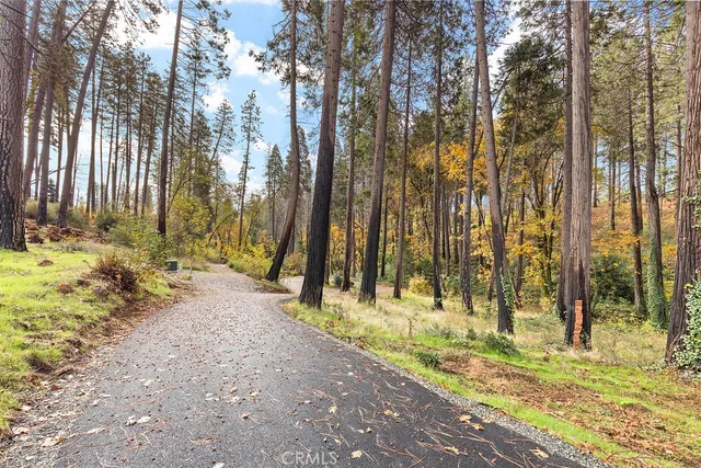 a view of backyard with trees