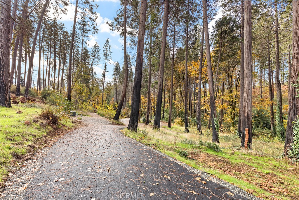 6281 Harold Lane Paradise, CA 95969 - Photo 3 of 19