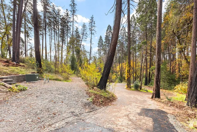 a view of tall trees and a wooden fence