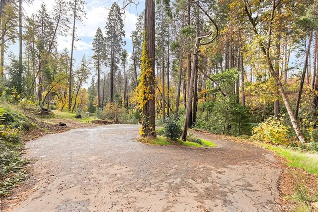 a view of outdoor space with trees