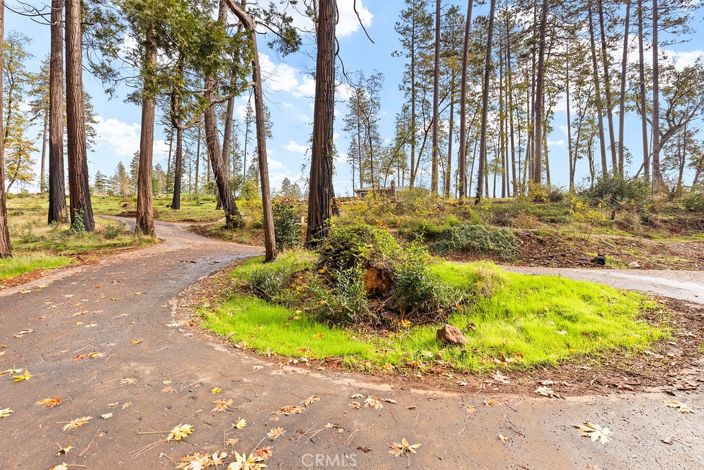 6281 Harold Lane Paradise, CA 95969 - Photo 7 of 19