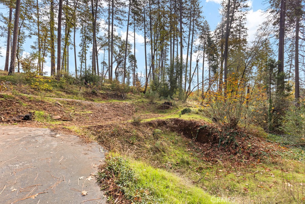 6281 Harold Lane Paradise, CA 95969 - Photo 8 of 19