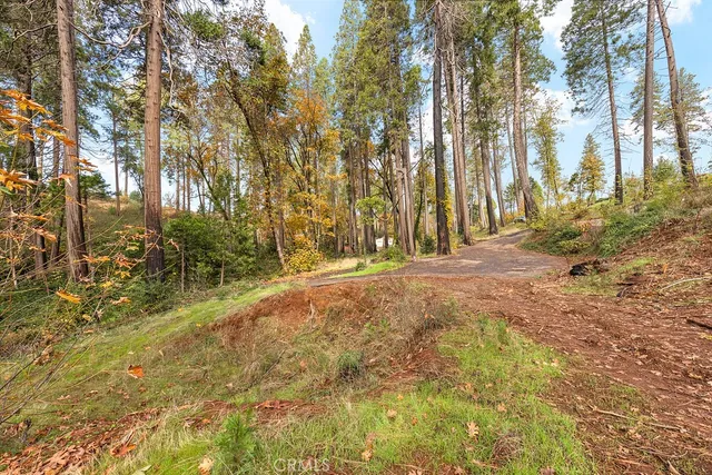 a view of backyard with green space