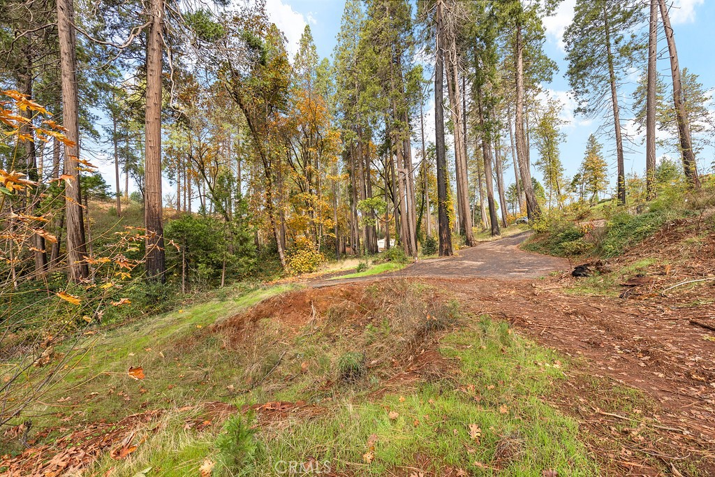 6281 Harold Lane Paradise, CA 95969 - Photo 9 of 19