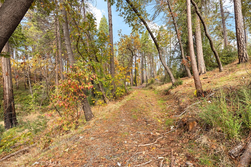 6281 Harold Lane Paradise, CA 95969 - Photo 10 of 19