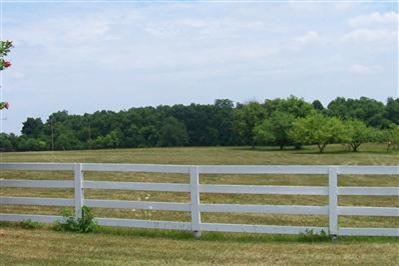 370 Harp Innis Road Lexington, KY 40511 - Photo 6 of 16 Photo 6