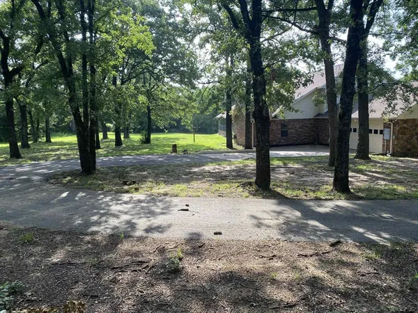 a view of a yard with tree s