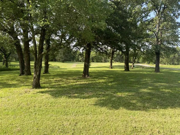 a view of a big yard with a large tree