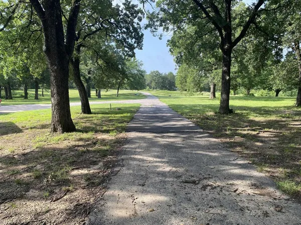 a view of a park with large trees