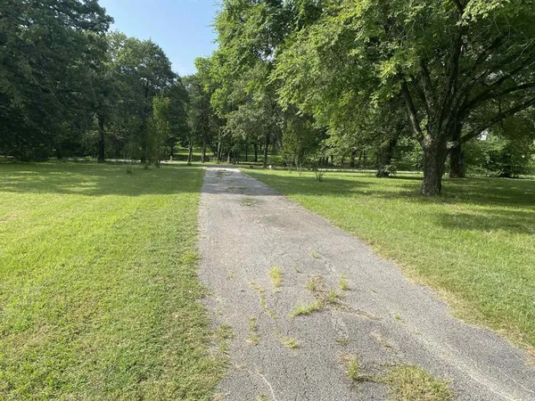 a view of a park with large trees