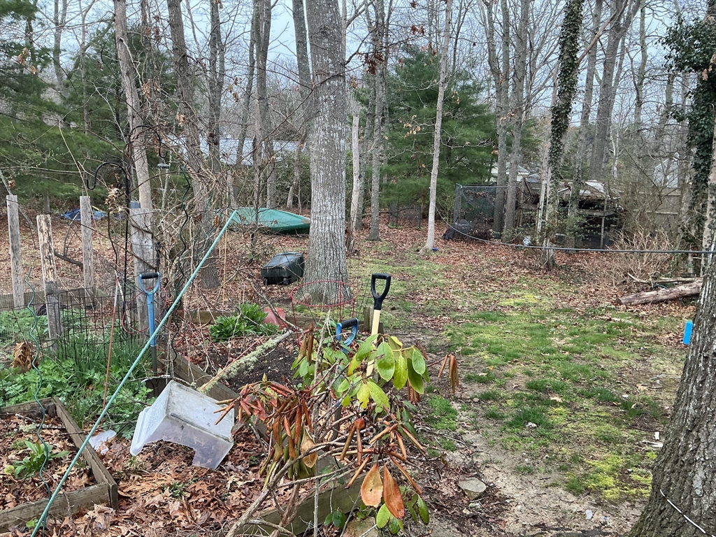 4 Blackthorn Path Sandwich, MA 02644 - Photo 3 of 5 a view of yard with green space