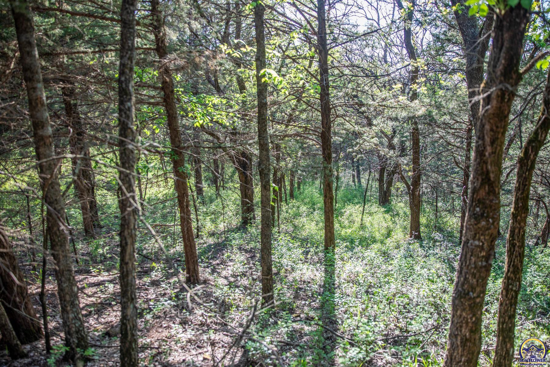 633 East 300 Road Overbrook, KS 66524 - Photo 79 of 99
