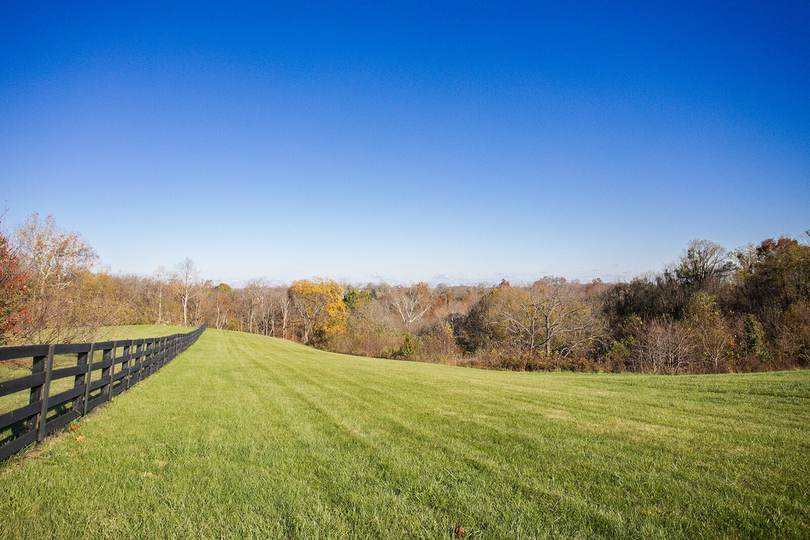 1264 Ford Hampton Road Winchester, KY 40391 - Photo 78 of 97 8G1A9200