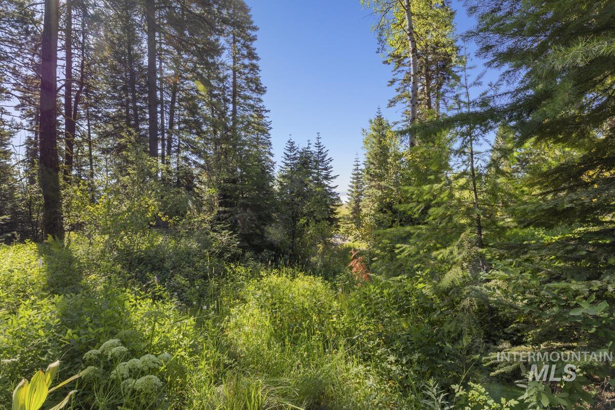 2 Arling Trail Cascade, ID 83611 - Photo 3 of 15 Potential Build Site