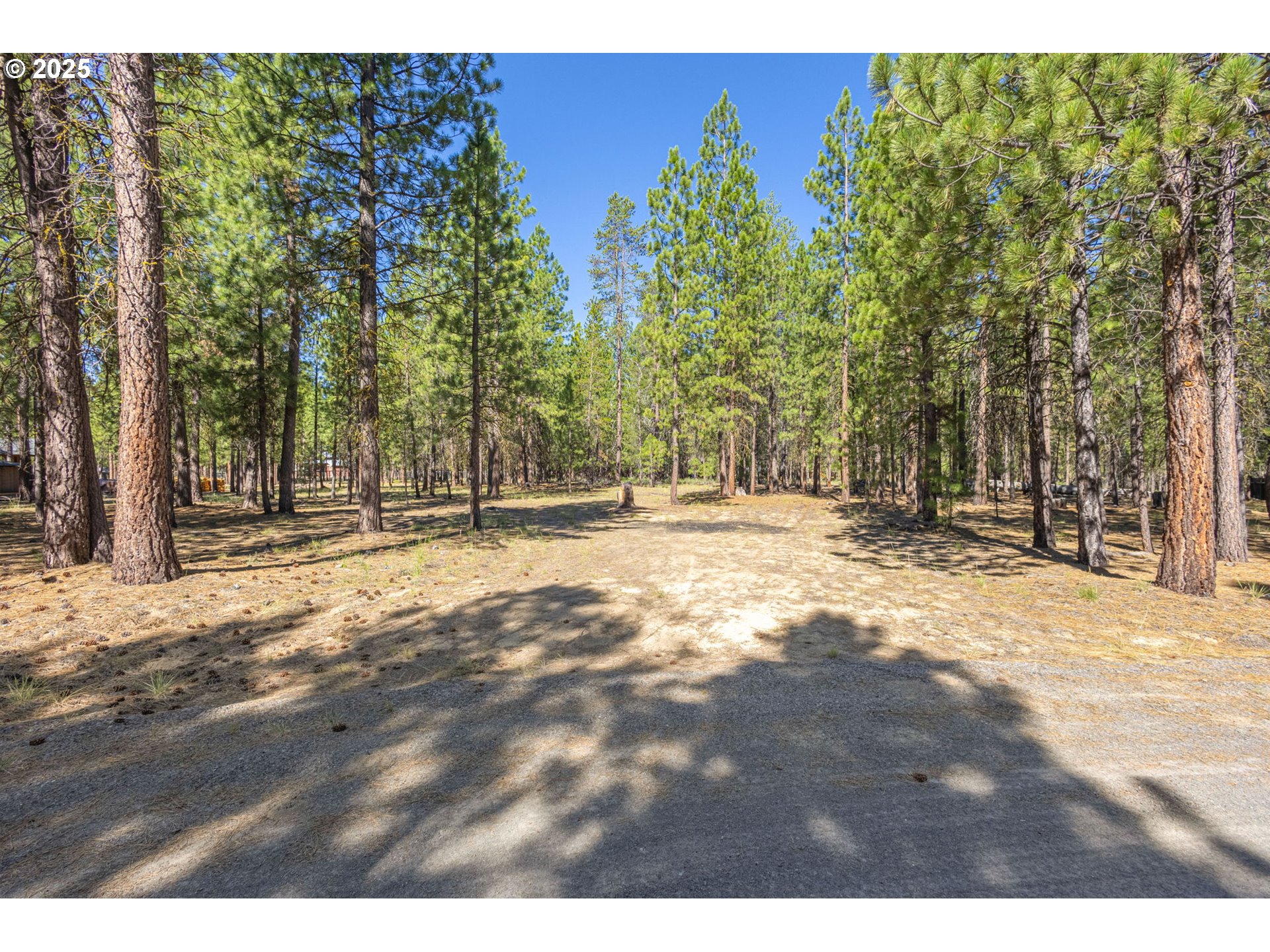 52071 Red Pine La Pine, OR 97739 - Photo 4 of 21