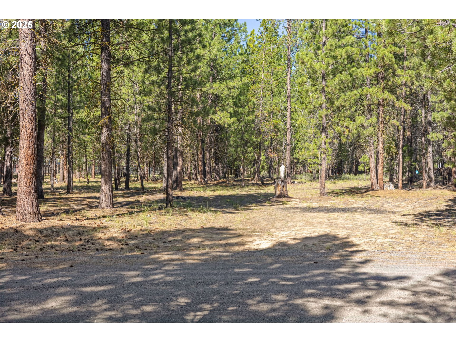 52071 Red Pine La Pine, OR 97739 - Photo 8 of 21