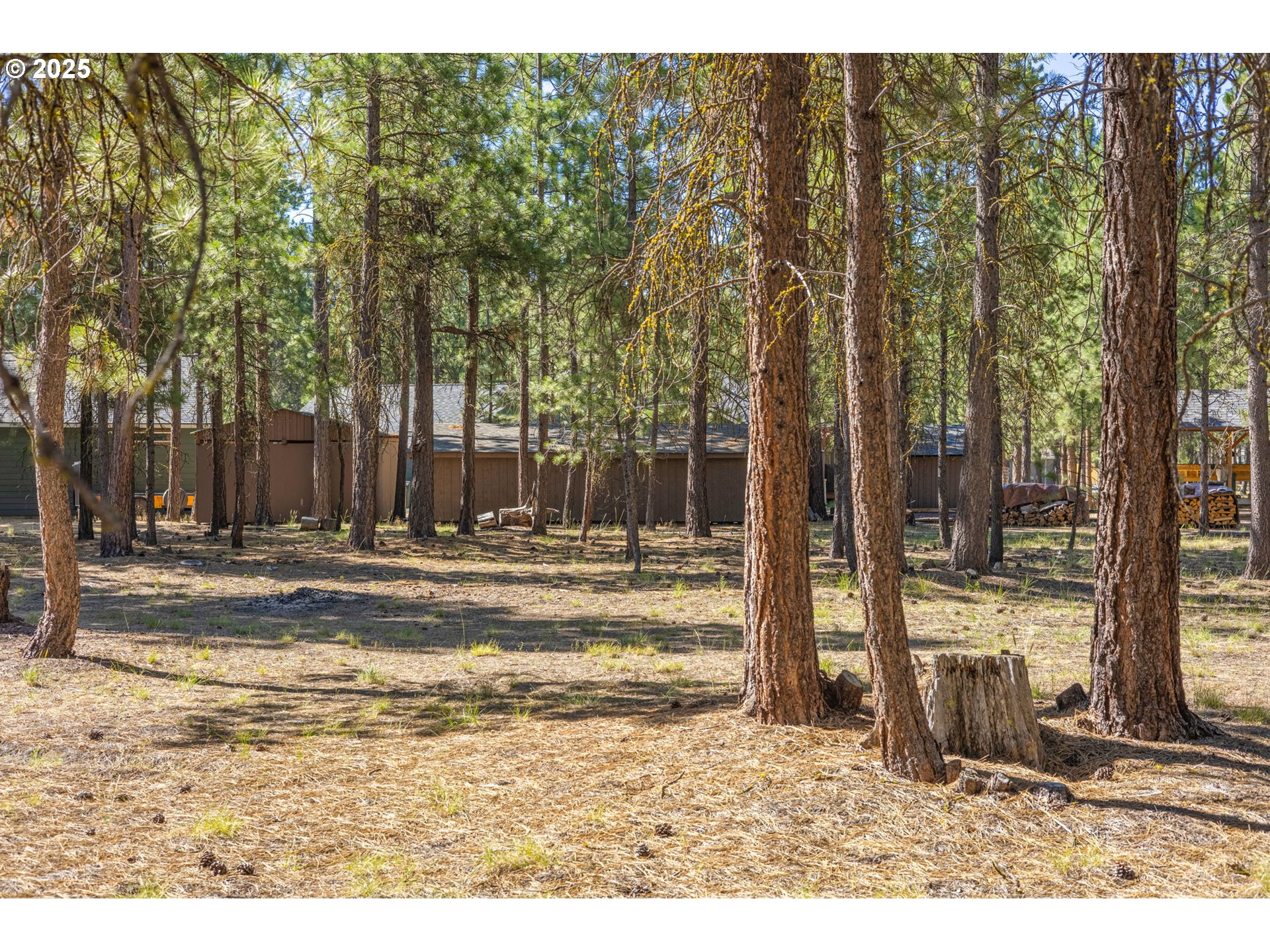 52071 Red Pine La Pine, OR 97739 - Photo 10 of 21