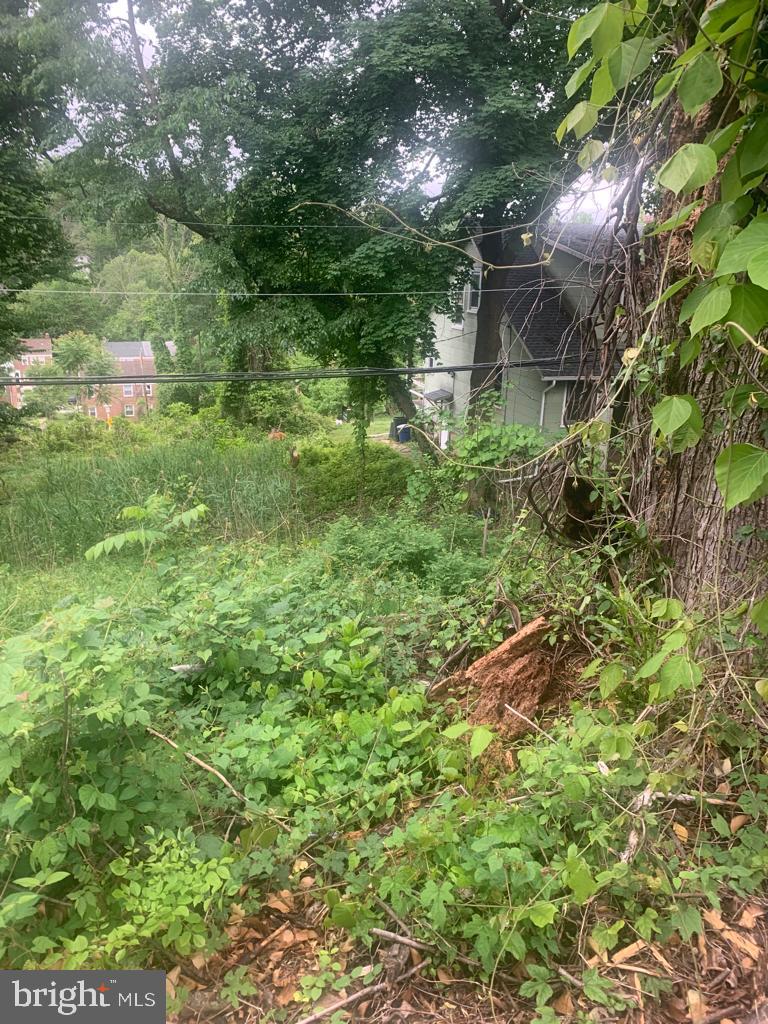 4502 Wakefield Road Baltimore, MD 21216 - Photo 2 of 6 a backyard of a house with lots of green space and trees all around