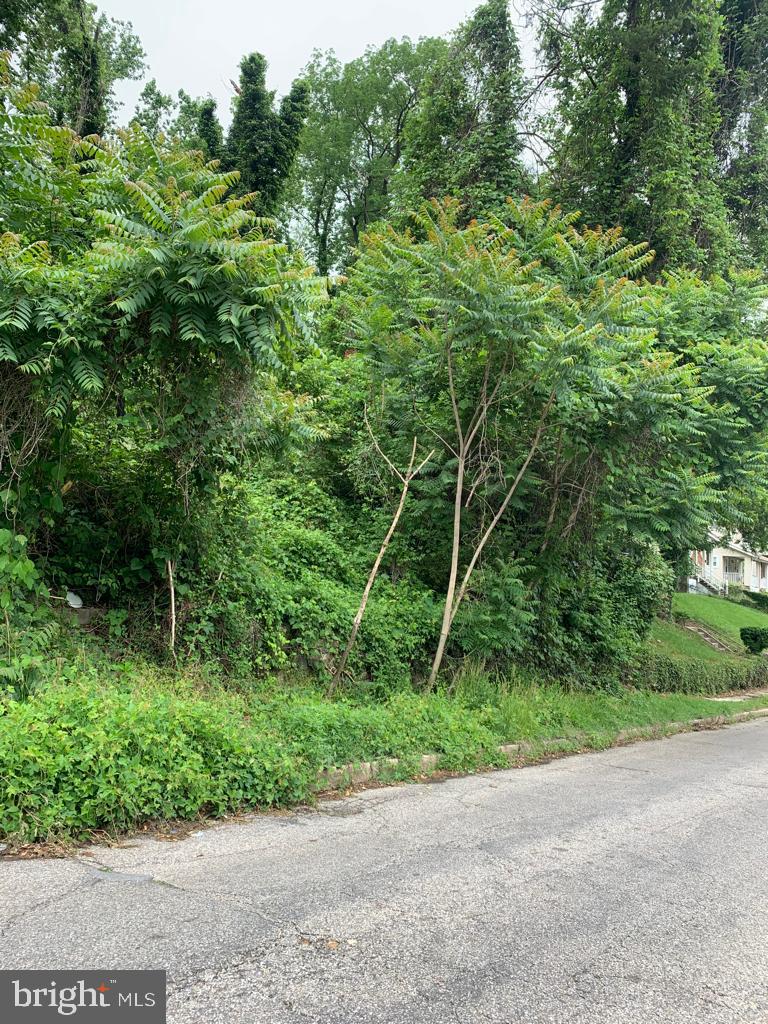 4502 Wakefield Road Baltimore, MD 21216 - Photo 3 of 6 a backyard of a house with lots of green space