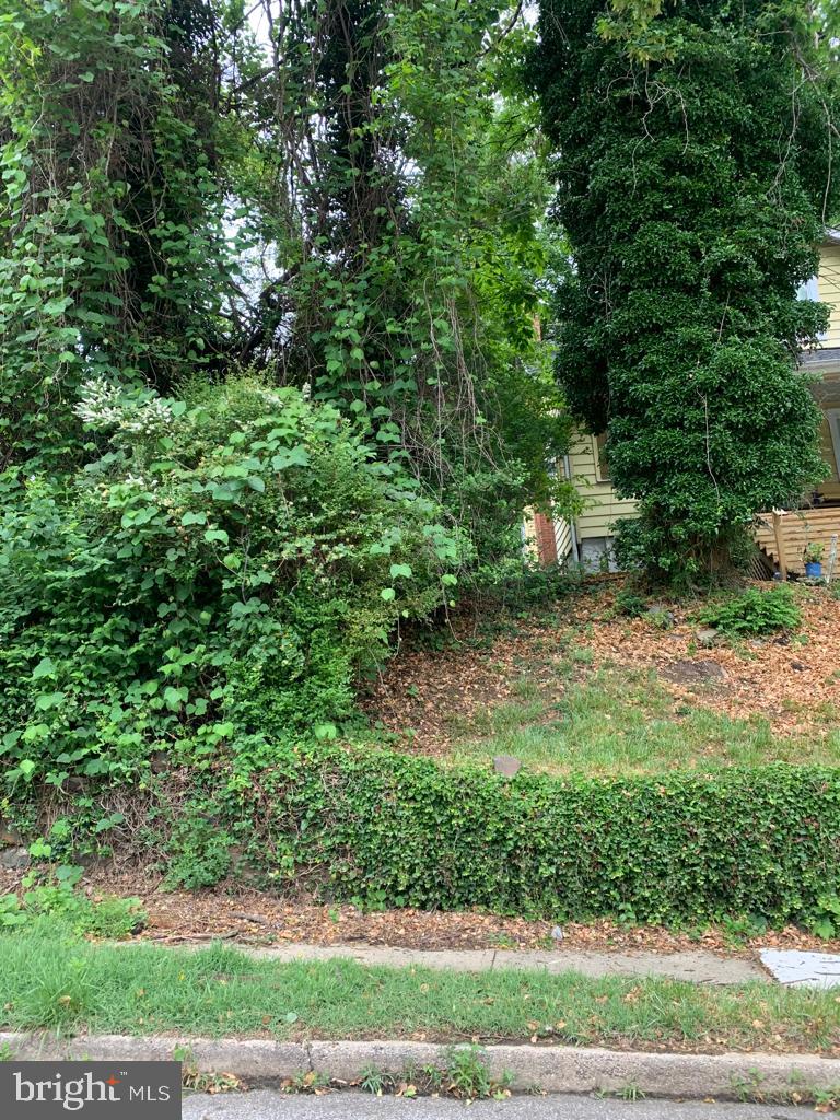 4502 Wakefield Road Baltimore, MD 21216 - Photo 5 of 6 a view of a yard with plants and a bench