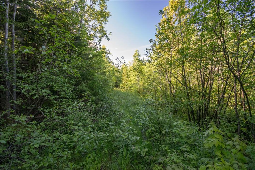 On Jalbert Road Fort Kent, ME 04743 - Photo 13 of 26 Land