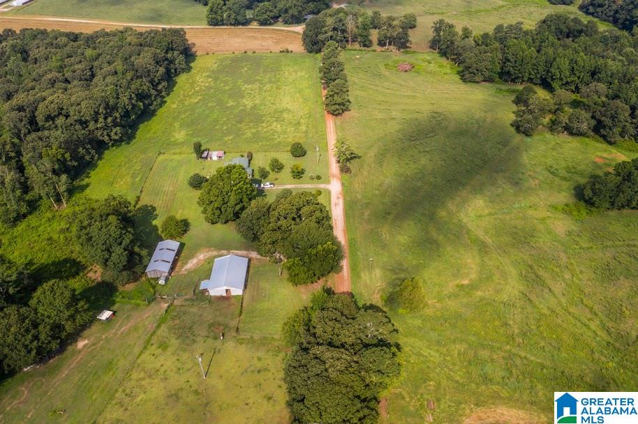 1256 County Road 643 Ranburne, AL 36273 - Photo 23 of 50