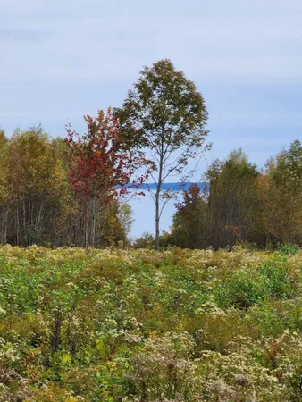 $499,000 | Lot 52 Highway 1, Princeton, ME 04668